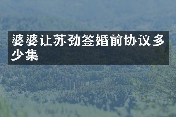 婆婆让苏劲签婚前协议多少集