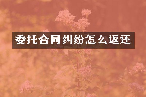 委托合同纠纷怎么返还