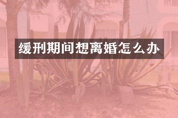 缓刑期间想离婚怎么办