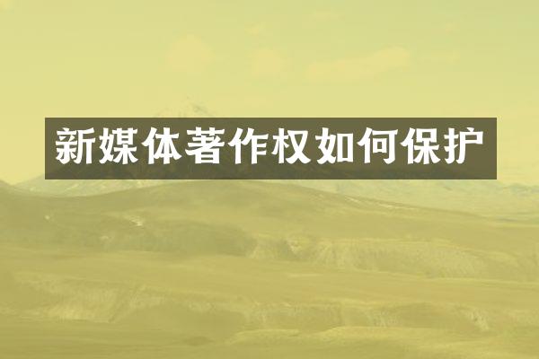 新媒体著作权如何保护