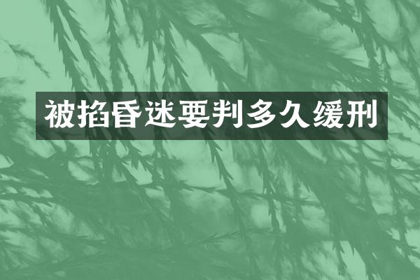 被掐昏迷要判多久缓刑