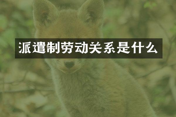 派遣制劳动关系是什么