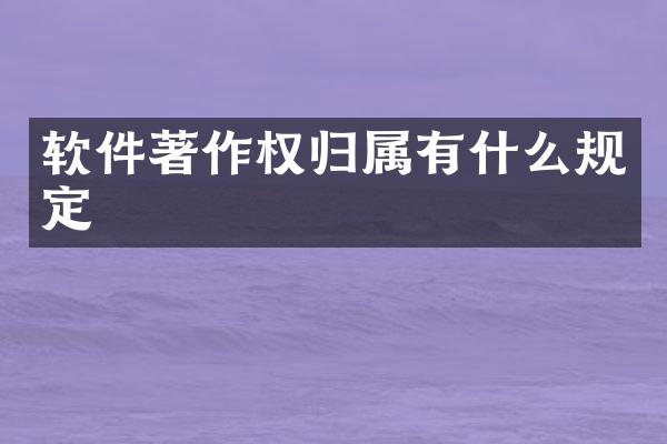 软件著作权归属有什么规定