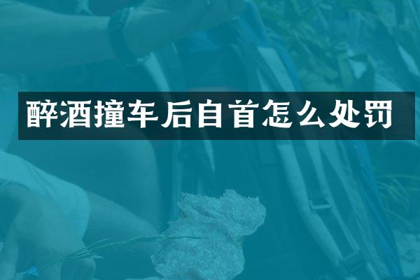 醉酒撞车后自首怎么处罚