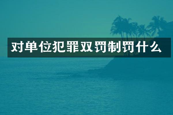 对单位犯罪双罚制罚什么