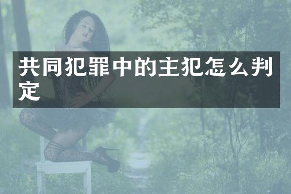 共同犯罪中的主犯怎么判定