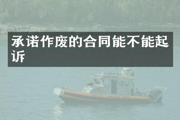 承诺作废的合同能不能起诉