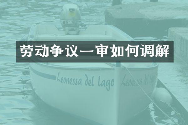 劳动争议一审如何调解