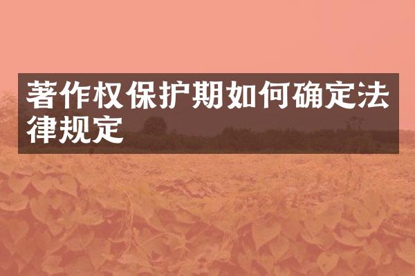 著作权保护期如何确定法律规定