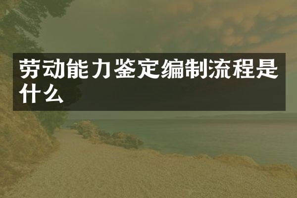 劳动能力鉴定编制流程是什么