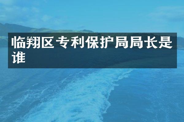 临翔区专利保护局局长是谁