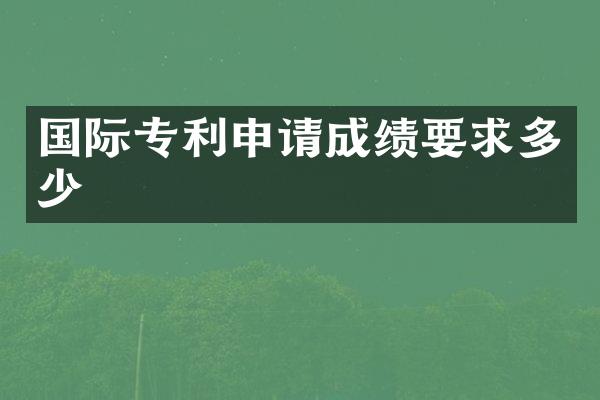 国际专利申请成绩要求多少