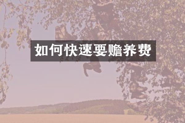 如何快速要赡养费