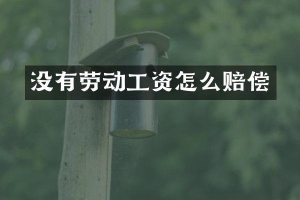 没有劳动工资怎么赔偿