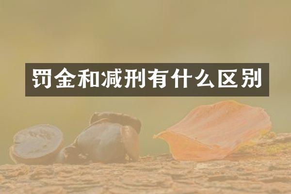 罚金和减刑有什么区别