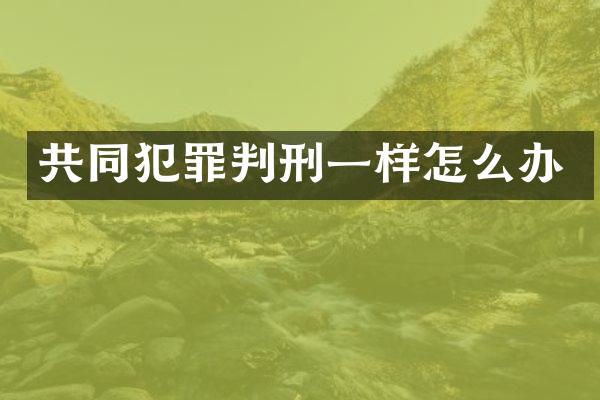 共同犯罪判刑一样怎么办