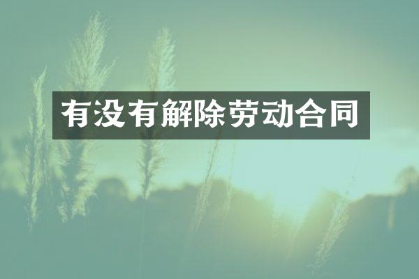 有没有解除劳动合同