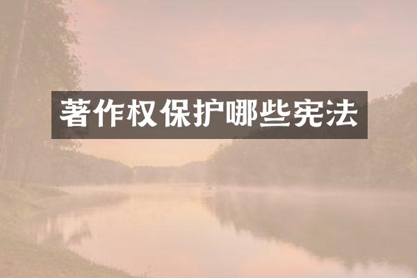 著作权保护哪些宪法