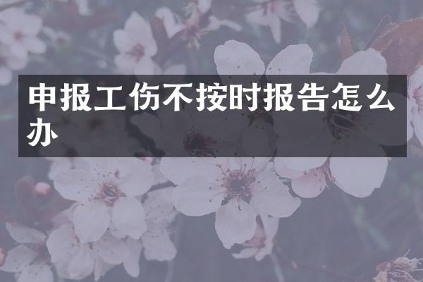 申报工伤不按时报告怎么办