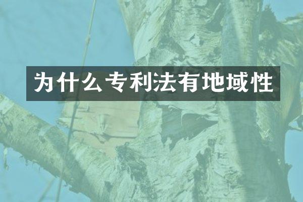 为什么专利法有地域性
