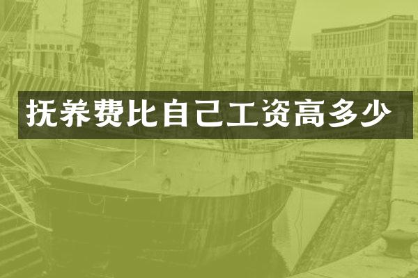 抚养费比自己工资高多少