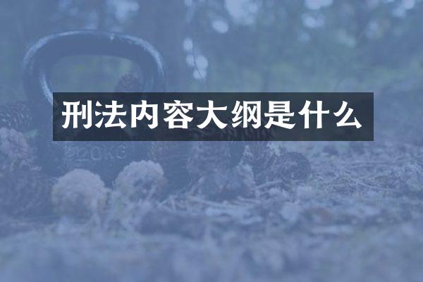 刑法内容大纲是什么