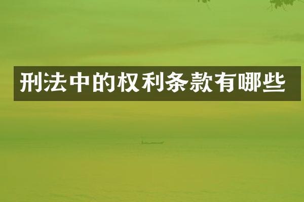 刑法中的权利条款有哪些