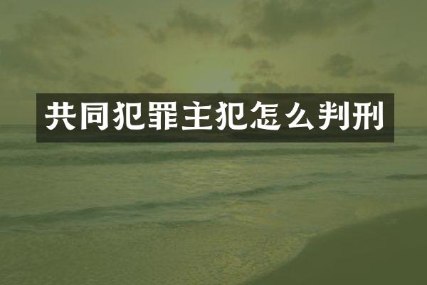 共同犯罪怎么判刑