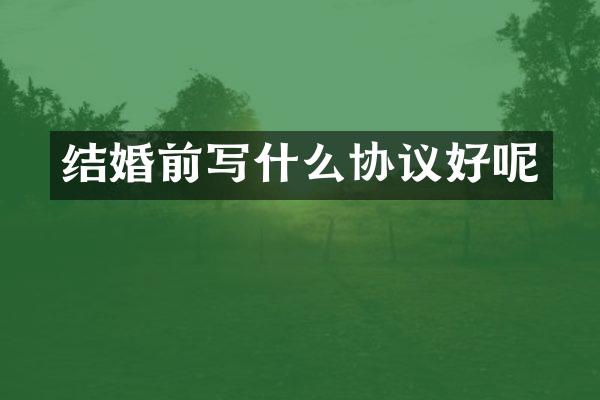 结婚前写什么协议好呢