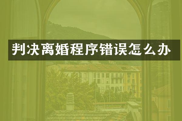 判决离婚程序错误怎么办