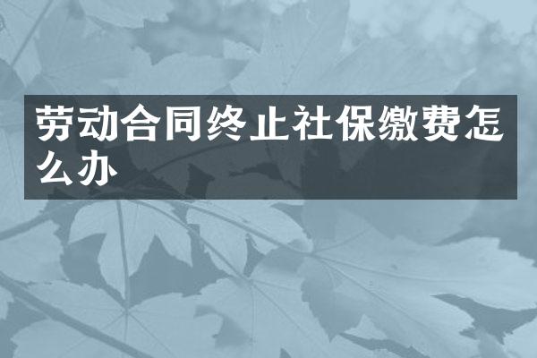 劳动合同终止社保缴费怎么办