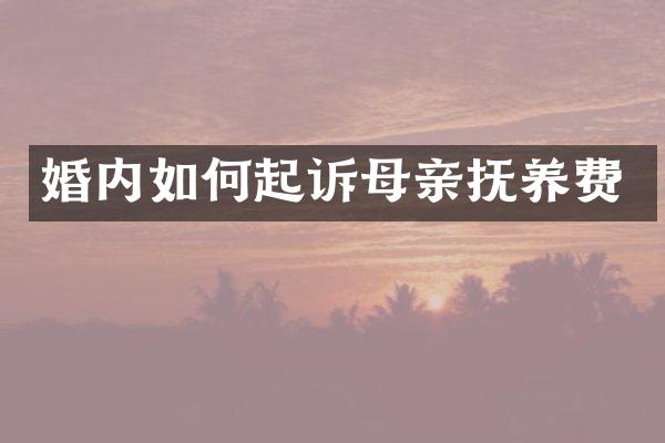 婚内如何起诉母亲抚养费