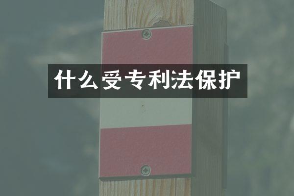 什么受专利法保护