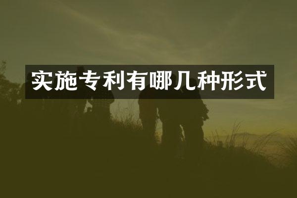 实施专利有哪几种形式