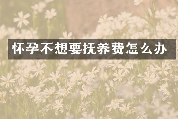 怀孕不想要抚养费怎么办