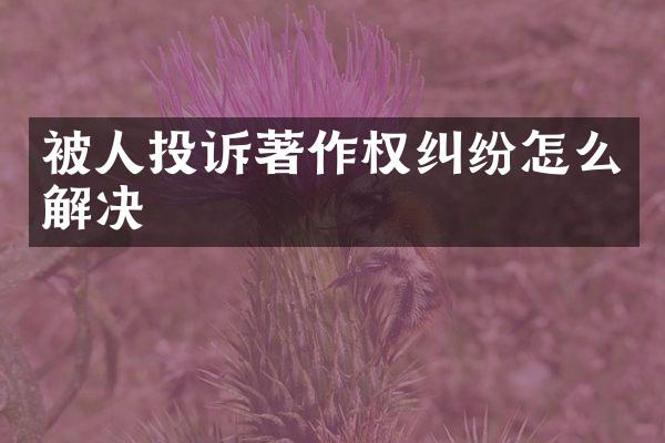 被人投诉著作权纠纷怎么解决