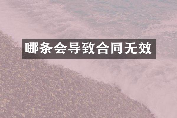 哪条会导致合同无效