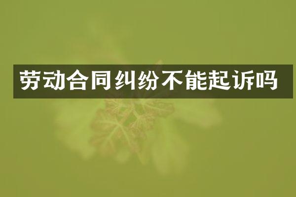 劳动合同纠纷不能起诉吗