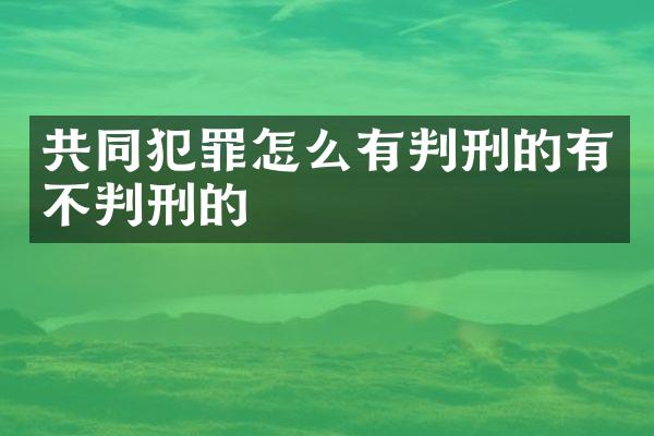 共同犯罪怎么有判刑的有不判刑的