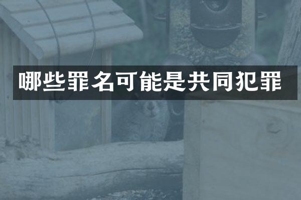 哪些罪名可能是共同犯罪