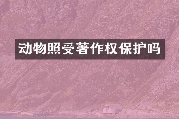 动物照受著作权保护吗