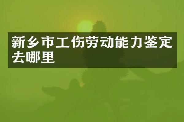 新乡市工伤劳动能力鉴定去哪里