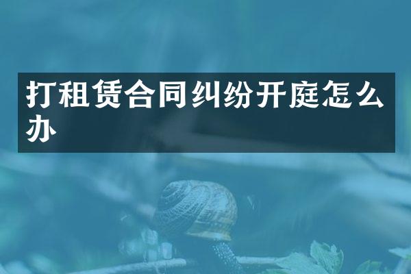 打租赁合同纠纷开庭怎么办