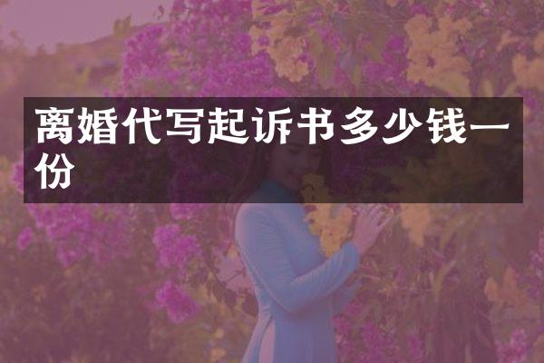 离婚代写起诉书多少钱一份