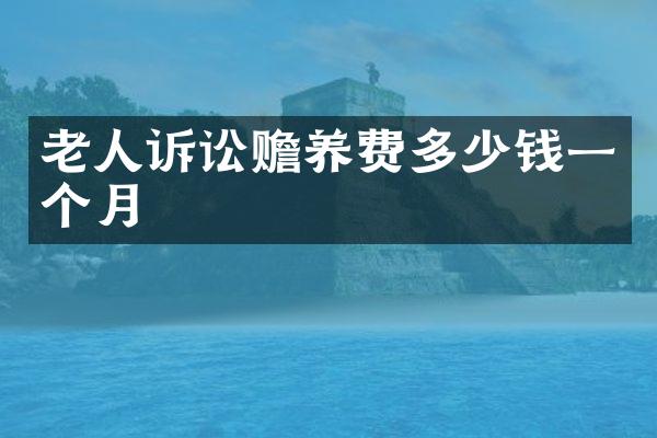 老人诉讼赡养费多少钱一个月
