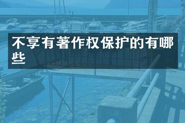 不享有著作权保护的有哪些