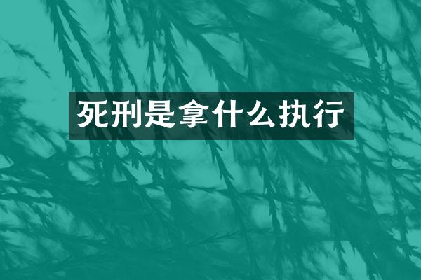 死刑是拿什么执行