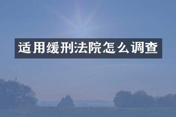 适用缓刑法院怎么调查