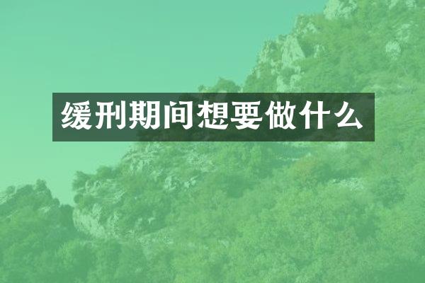 缓刑期间想要做什么