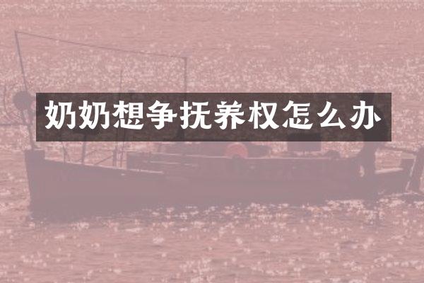 奶奶想争抚养权怎么办